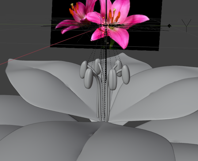Sculpted petal